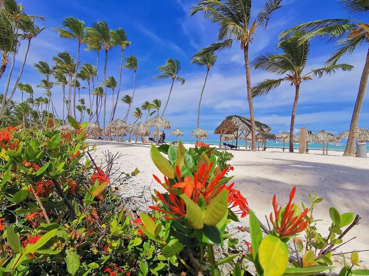 Ocean View Villa 4 Guests Bavaro Beach Wifi Kitchen Parking Punta Cana