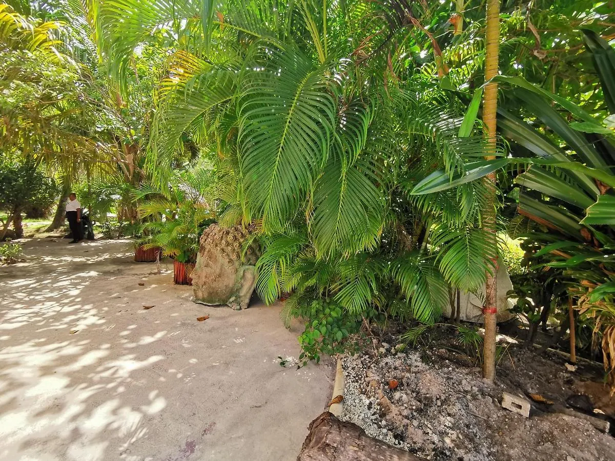 Ocean View Villa 4 Guests Bavaro Beach Wifi Kitchen Parking Punta Cana Dominican Republic